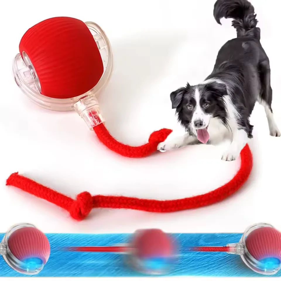 Pelota Interactiva Catnip para Gatos