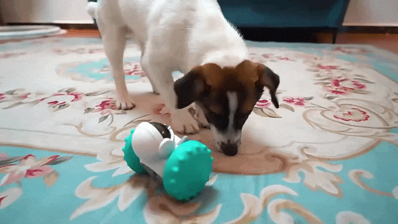 Robot dispensador de alimento