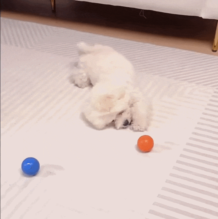Pelota Inteligente Interactiva con LED