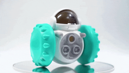 Robot dispensador de alimento